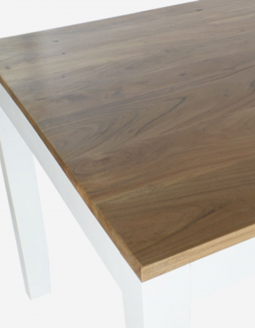 MESA COMEDOR MANGO 8 PERSONAS