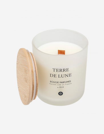 VELA PERFUMADA 255G TERRE DE LUNE