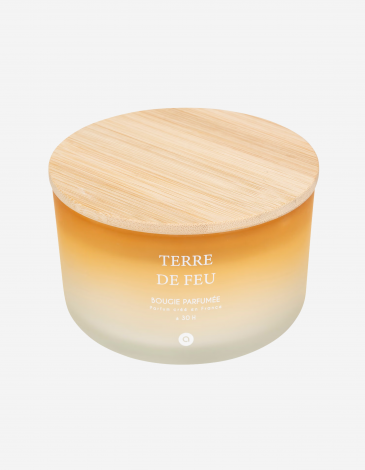 VELA PERFUMADA 420G TERRE DE FEU