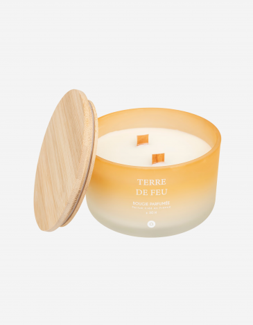 VELA PERFUMADA 420G TERRE DE FEU