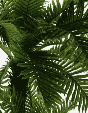 PALMERA VERDE EVA PP 120 CM