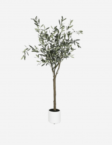 ARBOL OLIVO VERDE 42X42X150