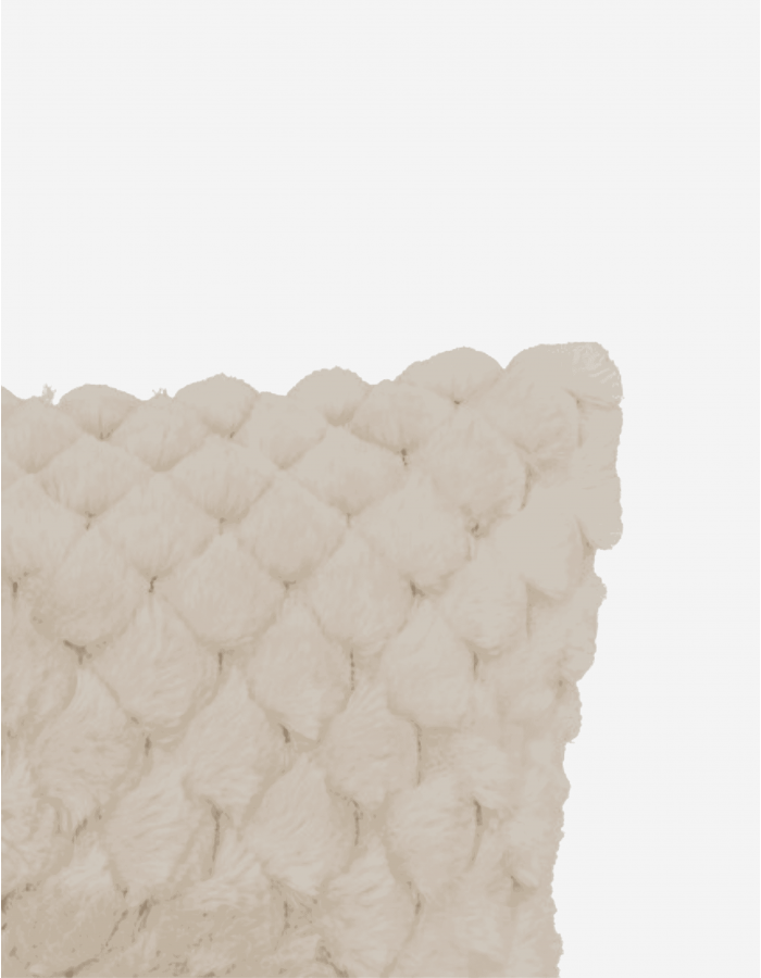 COJÍN ADRIEL BEIGE 80X50