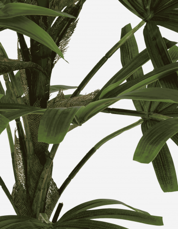 PALMERA BAMBÚ A.120 CM