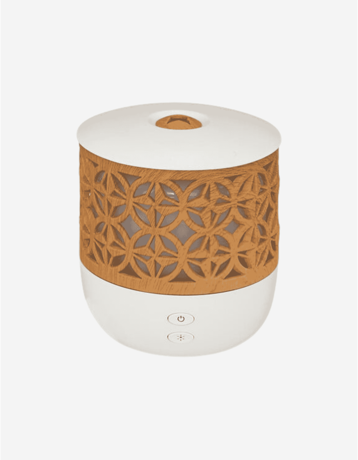 DIFUSOR DE ACEITE ESENCIAL ELSY 100ML