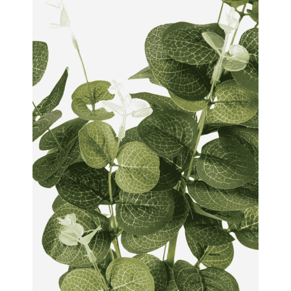 RAMA DE EUCALIPTO 91CM