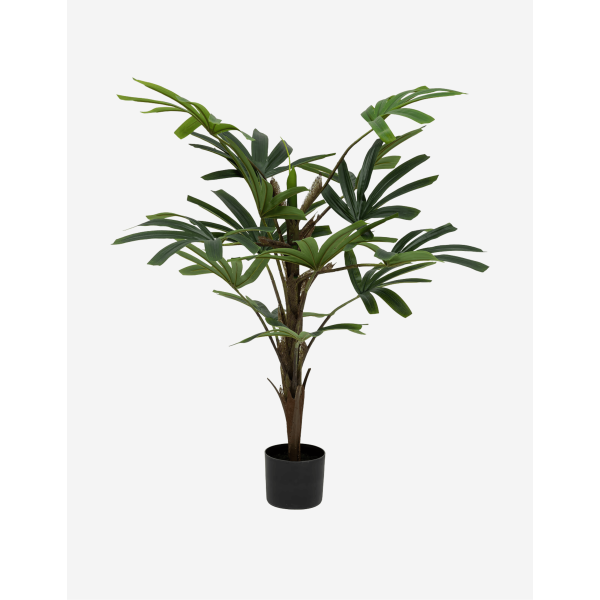 PALMERA BAMBÚ A.120 CM