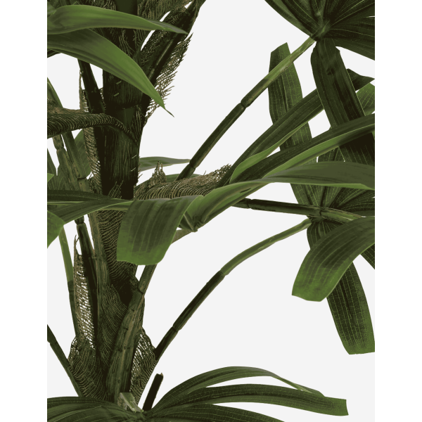 PALMERA BAMBÚ A.120 CM