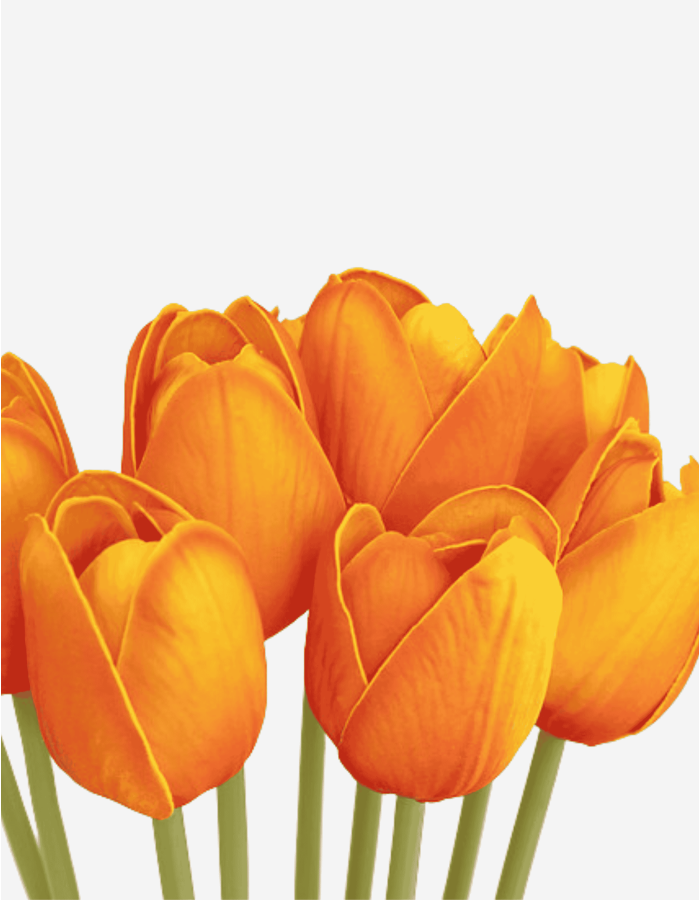 RAMO 10 TULIPANES NARANJAS