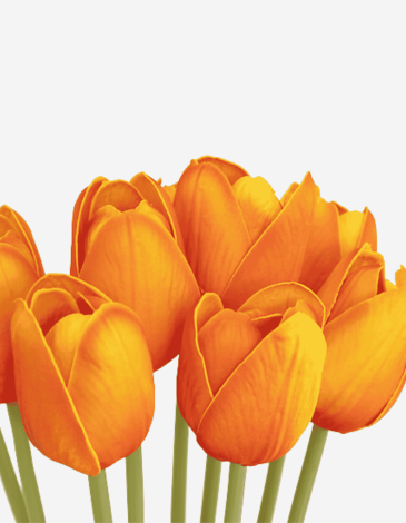 RAMO 10 TULIPANES NARANJAS