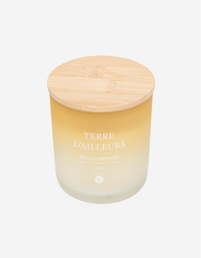 VELA PERFUMADA 255G TERRE DES MERVEILLES