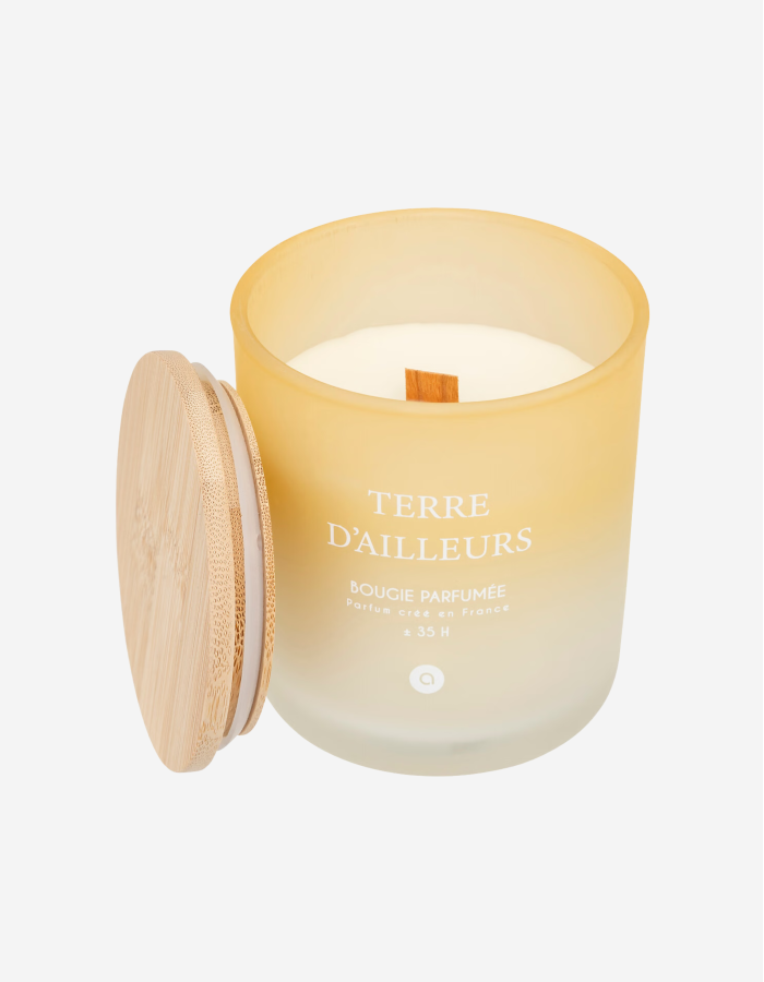 VELA PERFUMADA 255G TERRE D'AILLEURS