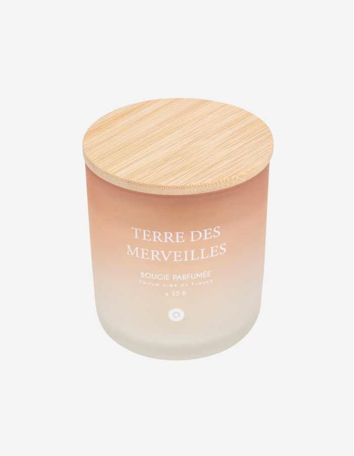 VELA PERFUMADA 420G TERRE DES MERVEILLES