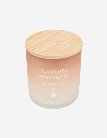 VELA PERFUMADA 255G TERRE DES MERVEILLES