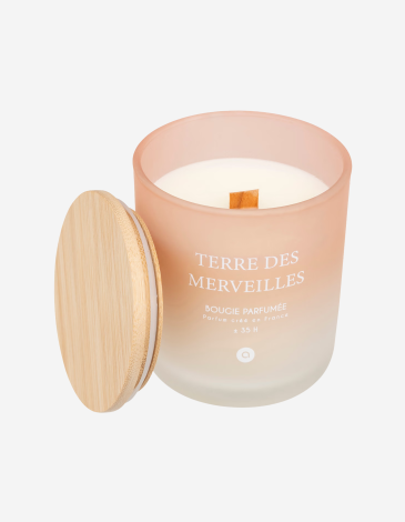 VELA PERFUMADA 255G TERRE DES MERVEILLES
