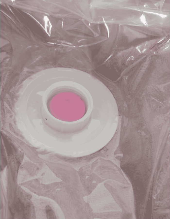 CAJA ALMACENAMIENTO + BOLSA COMPRE