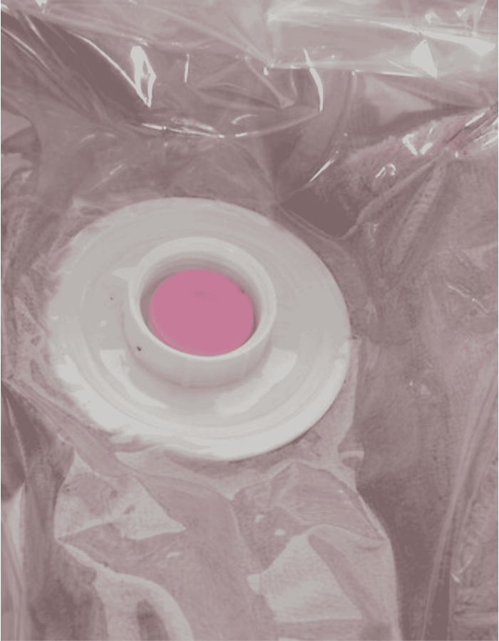 CAJA DE ALMACENAMIENTO + S BOLSA DE COMP