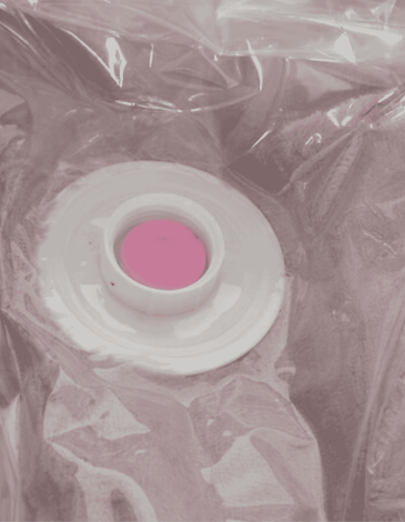 CAJA DE ALMACENAMIENTO + S BOLSA DE COMP