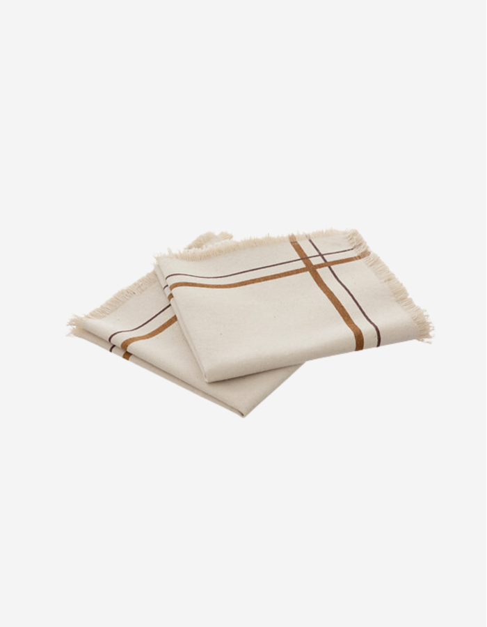 JUEGO DE 2 SERVILLETAS RAY 40X40