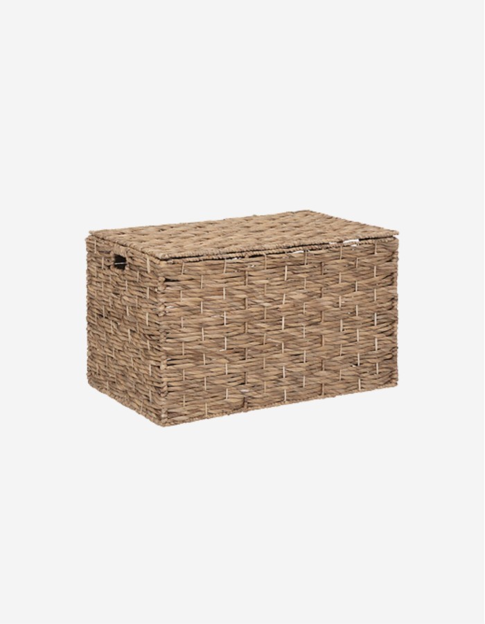 TRONCO DE JACINTO "ORI" NATURAL T2
