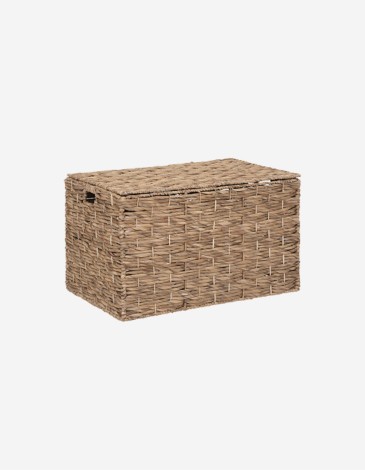TRONCO DE JACINTO "ORI" NATURAL T2