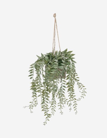 PLANTA SUSPENDIDA PATRI CON MACETA SURT.