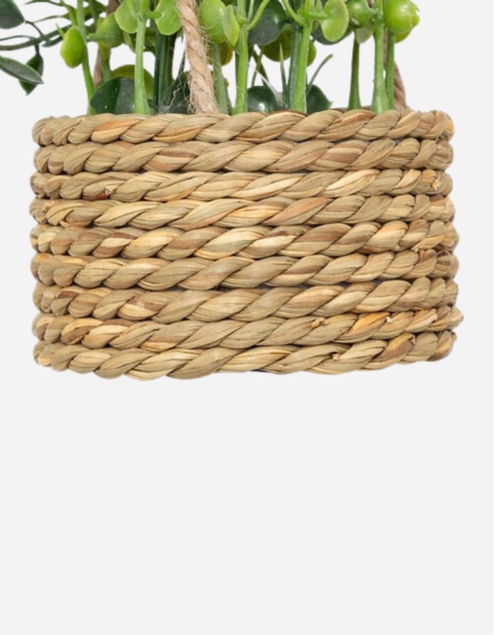 PLANTA SUSPENDIDA PATRI CON MACETA SURT.