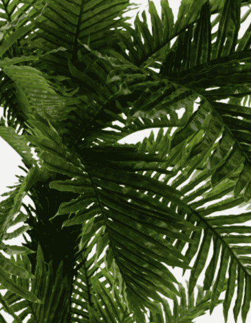 PALMERA VERDE EVA PP 120 CM