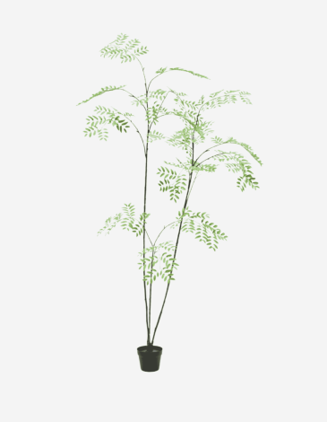 ARALIA E/MACETA VERDE 235 CM