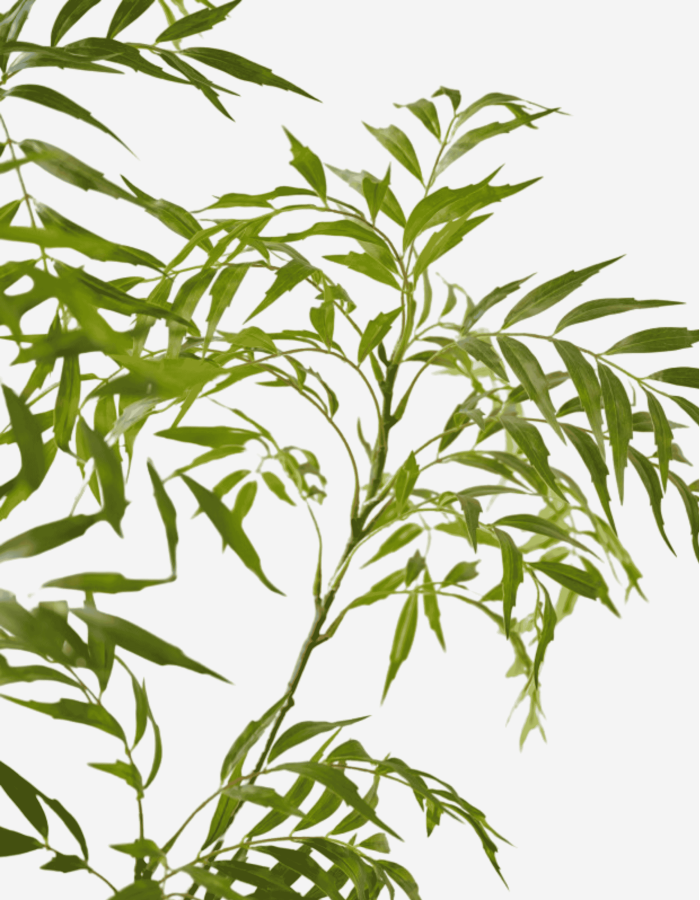 SAUCE E/MACETA VERDE 150 CM
