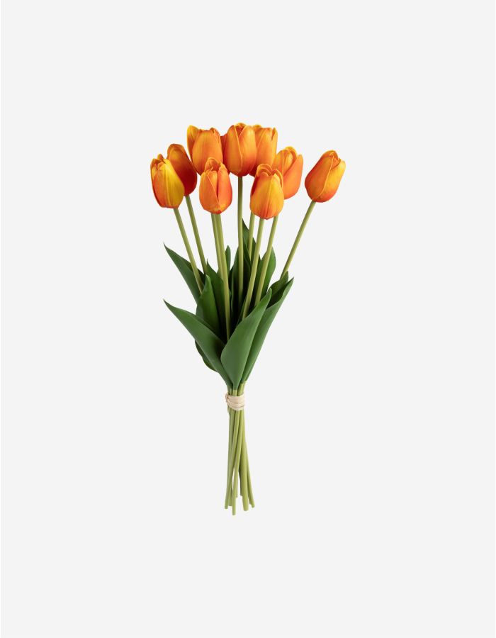 RAMO 10 TULIPANES NARANJAS