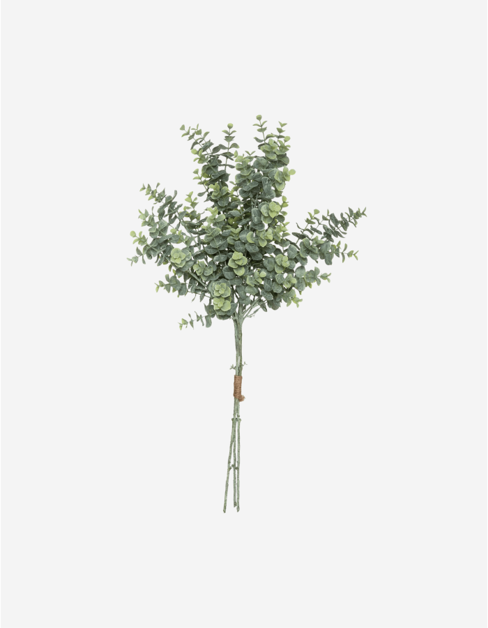 LIENZO ENMARCADO OLIVA CLAUDIA 45X60