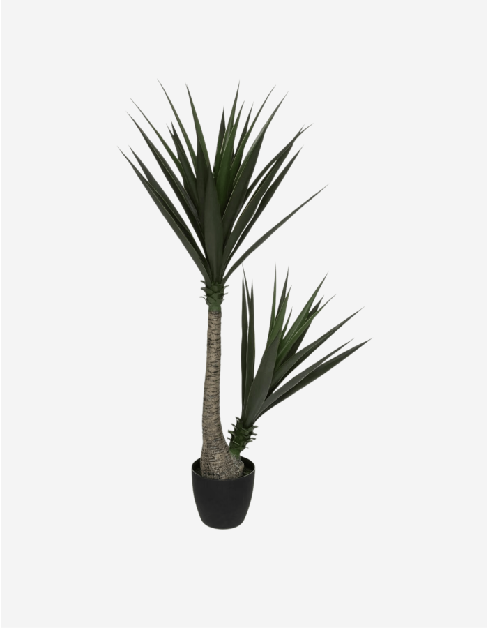 YUCA ALTO 130CM