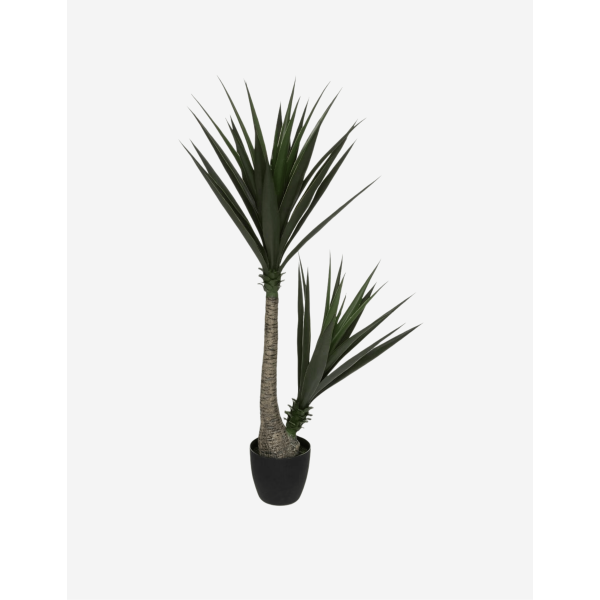 YUCA ALTO 130CM