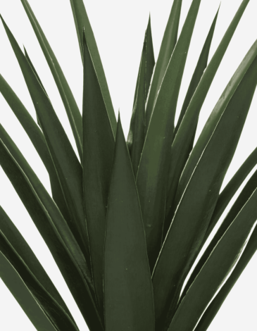 YUCA ALTO 130CM