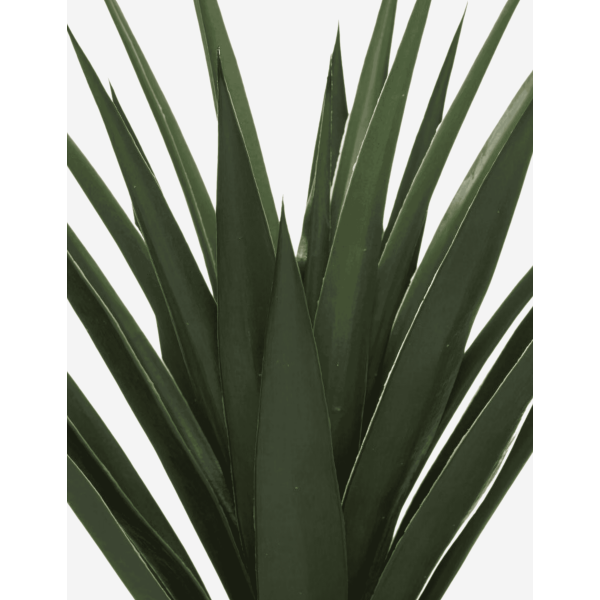 YUCA ALTO 130CM