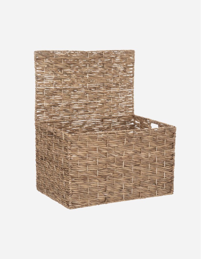 TRONCO DE JACINTO "ORI" NATURAL T1