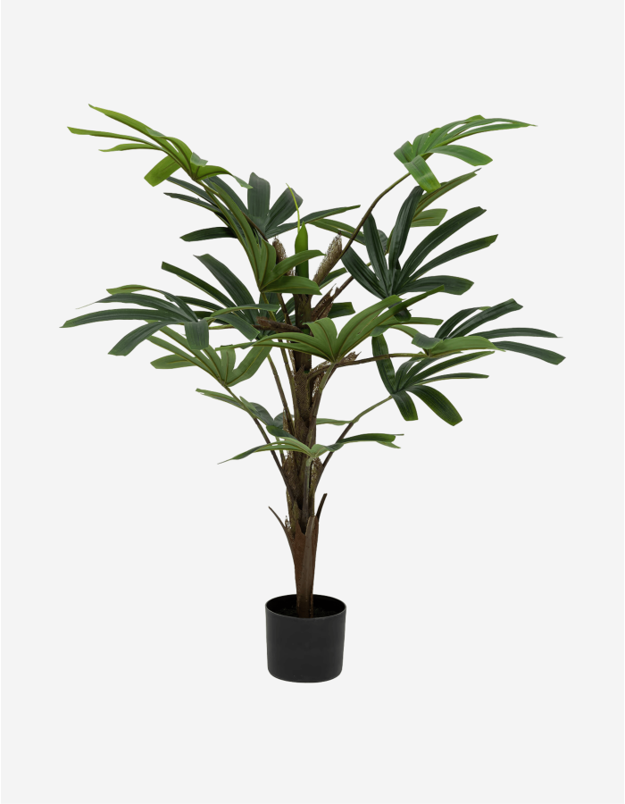 PALMERA BAMBÚ A.120 CM