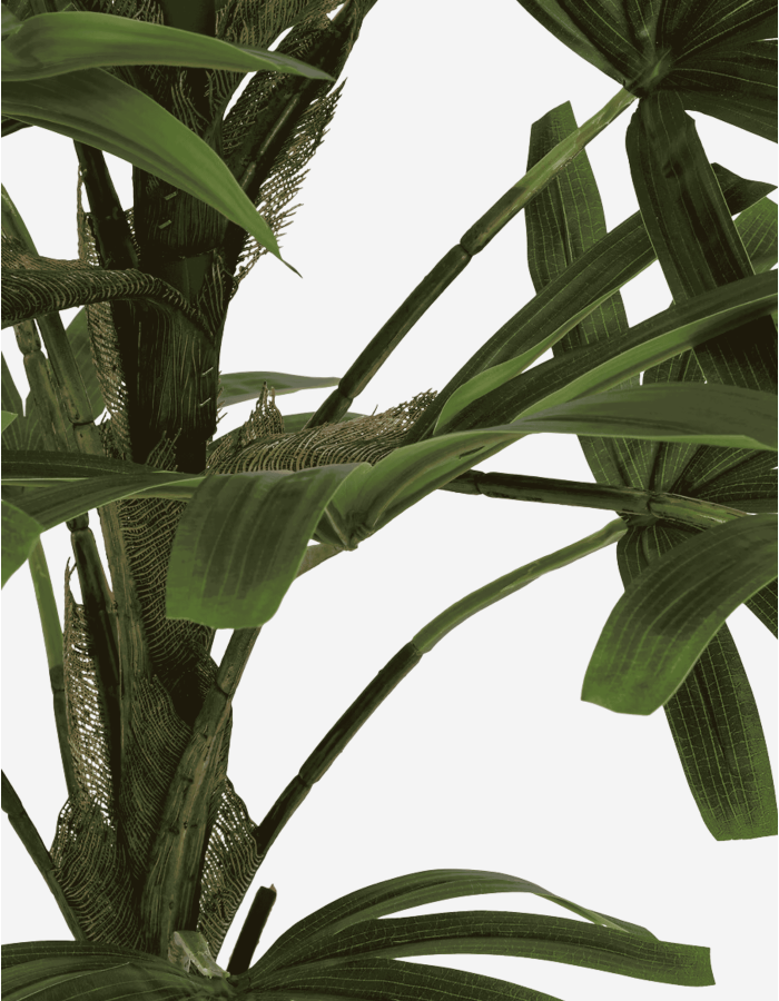 PALMERA BAMBÚ A.120 CM
