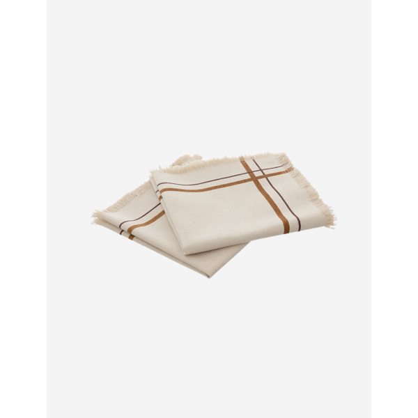 JUEGO DE 2 SERVILLETAS RAY 40X40