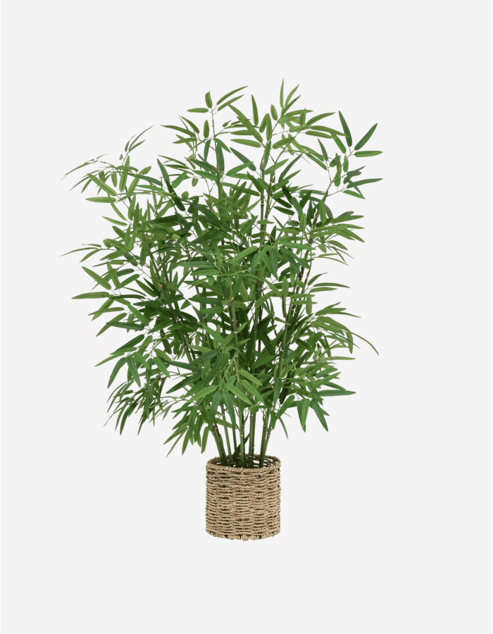 BAMBÚ CON MACETA NATURAL A.100 CM