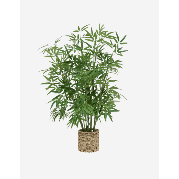 BAMBÚ CON MACETA NATURAL A.100 CM