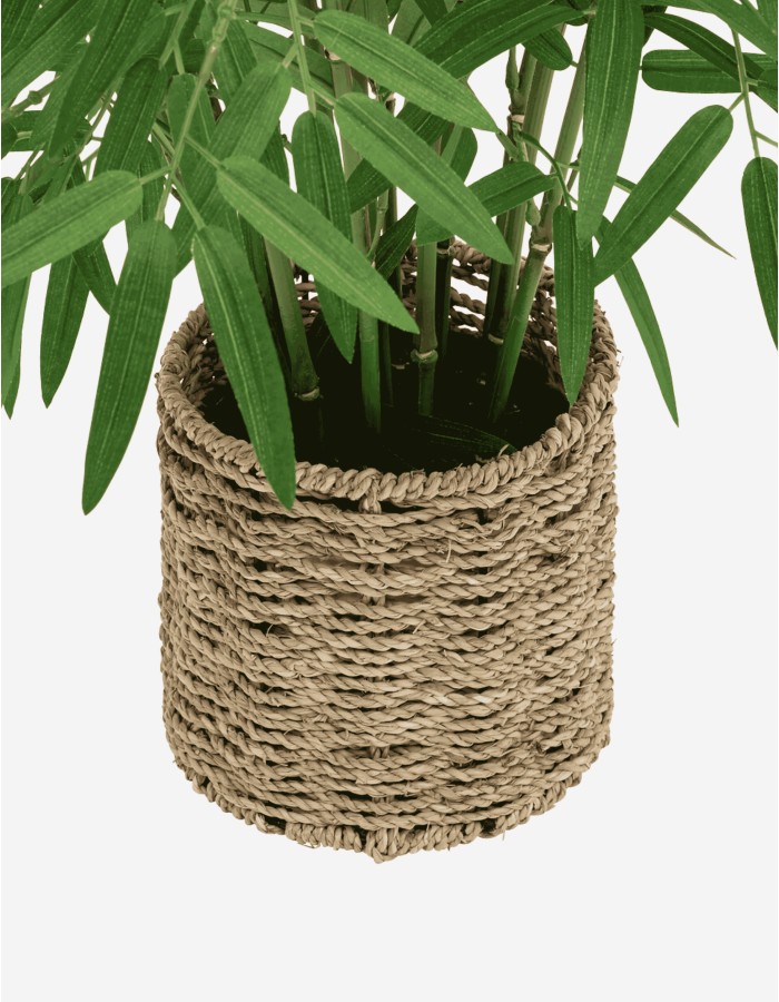 BAMBÚ CON MACETA NATURAL A.100 CM