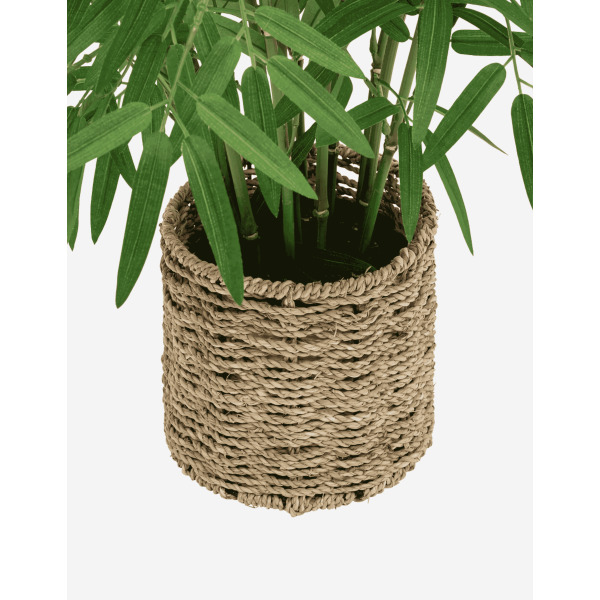 BAMBÚ CON MACETA NATURAL A.100 CM