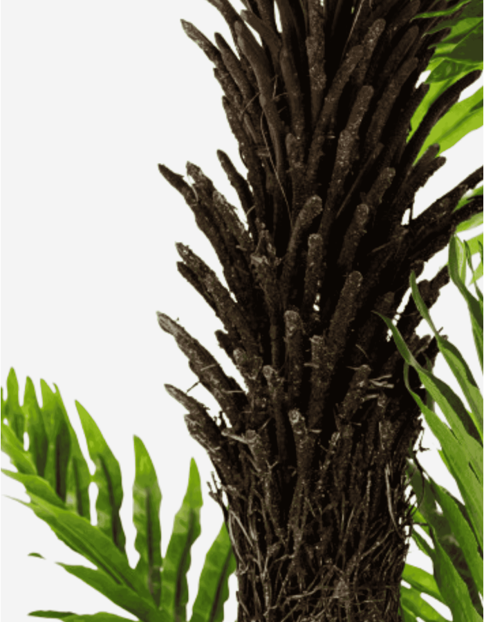 PALMERA VERDE EVA PP 120 CM