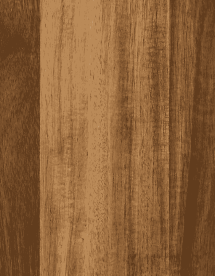 BANDEJA ACACIA 42X30 CM