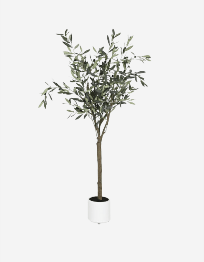 ARBOL OLIVO VERDE 42X42X150