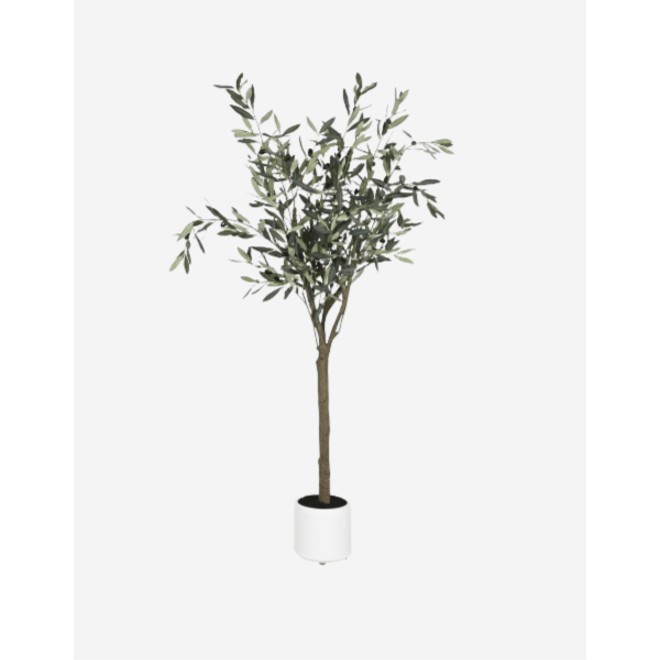ARBOL OLIVO VERDE 42X42X150