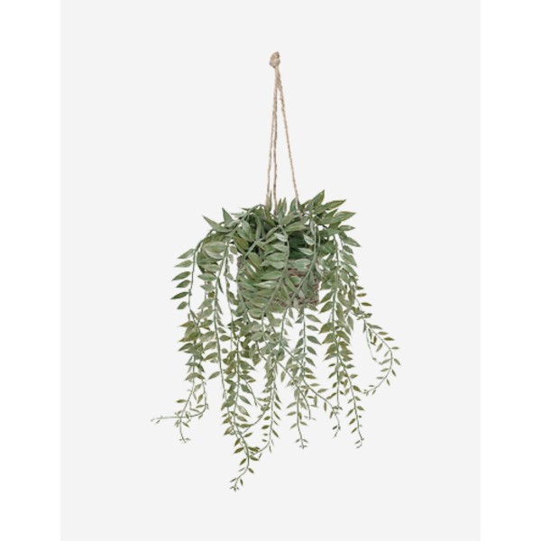 PLANTA SUSPENDIDA PATRI CON MACETA SURT.