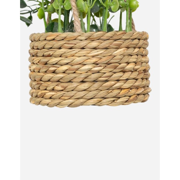PLANTA SUSPENDIDA PATRI CON MACETA SURT.